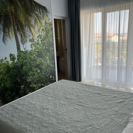 Pacific Guest house 3*